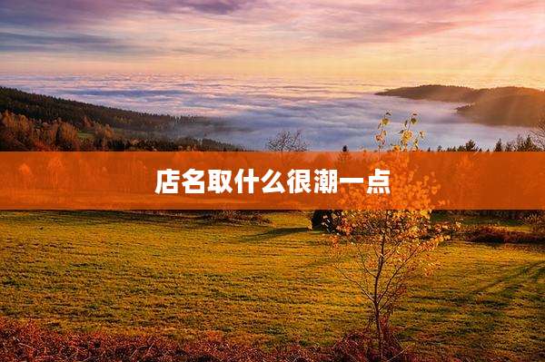 店名取什么很潮一点