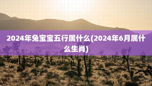 2024年兔宝宝五行属什么(2024年6月属什么生肖)