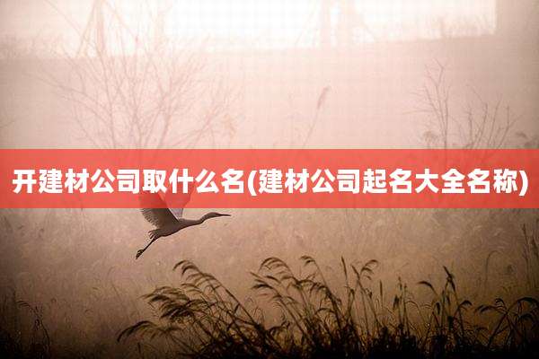开建材公司取什么名(建材公司起名大全名称)