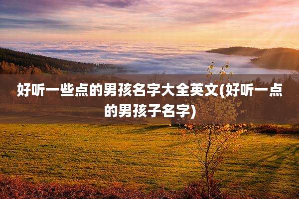 好听一些点的男孩名字大全英文(好听一点的男孩子名字)