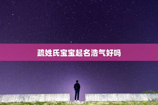 疏姓氏宝宝起名浩气好吗