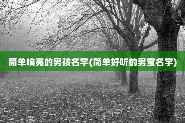 简单响亮的男孩名字(简单好听的男宝名字)