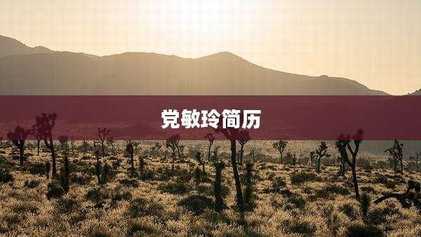 党敏玲简历