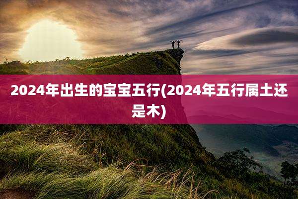 2024年出生的宝宝五行(2024年五行属土还是木)