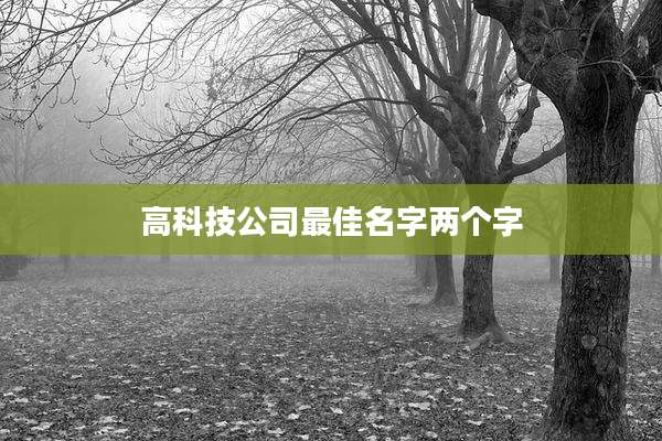 高科技公司最佳名字两个字