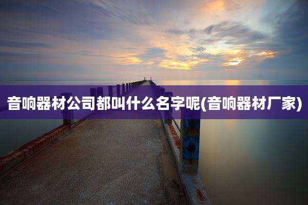音响器材公司都叫什么名字呢(音响器材厂家)