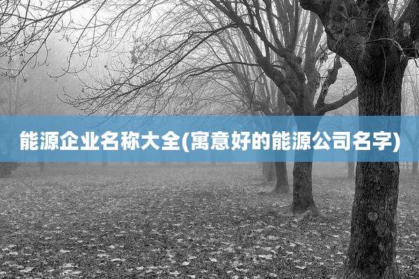 能源企业名称大全(寓意好的能源公司名字)