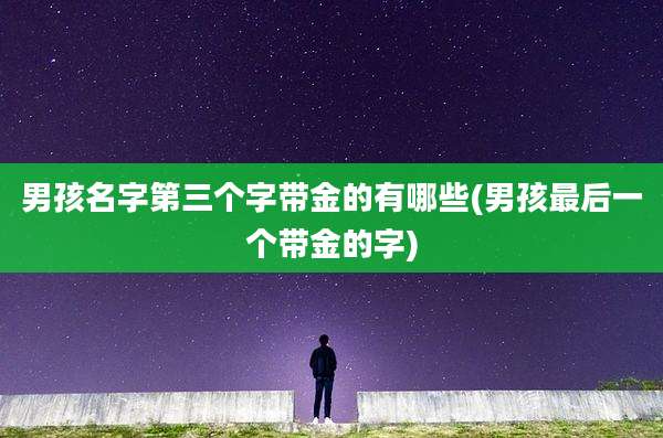男孩名字第三个字带金的有哪些(男孩最后一个带金的字)