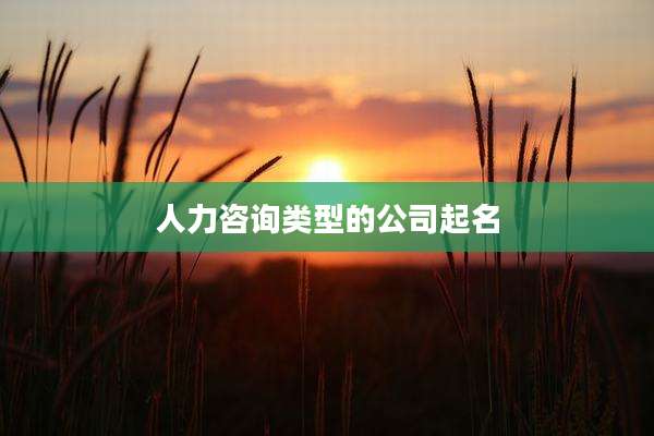 人力咨询类型的公司起名