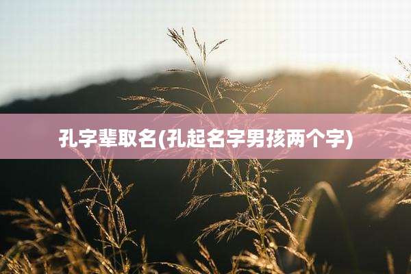 孔字辈取名(孔起名字男孩两个字)