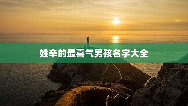 姓辛的最喜气男孩名字大全