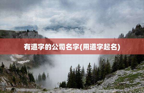 有道字的公司名字(用道字起名)