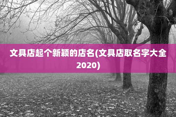 文具店起个新颖的店名(文具店取名字大全2020)
