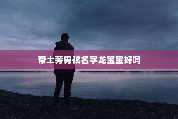 带土旁男孩名字龙宝宝好吗
