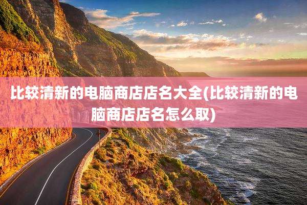 比较清新的电脑商店店名大全(比较清新的电脑商店店名怎么取)