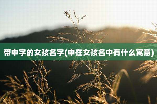 带申字的女孩名字(申在女孩名中有什么寓意)