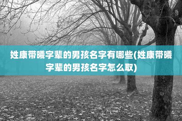 姓康带曦字辈的男孩名字有哪些(姓康带曦字辈的男孩名字怎么取)
