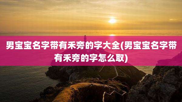 男宝宝名字带有禾旁的字大全(男宝宝名字带有禾旁的字怎么取)