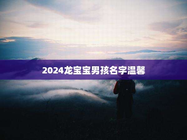 2024龙宝宝男孩名字温馨