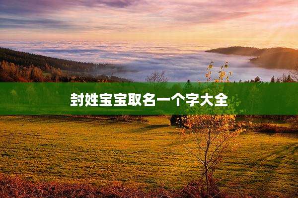 封姓宝宝取名一个字大全