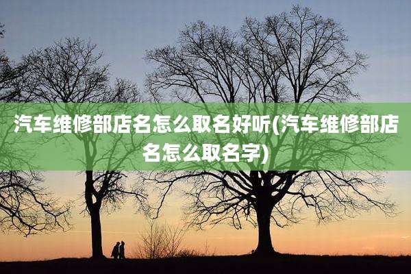 汽车维修部店名怎么取名好听(汽车维修部店名怎么取名字)