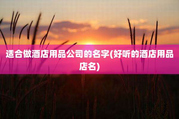 适合做酒店用品公司的名字(好听的酒店用品店名)
