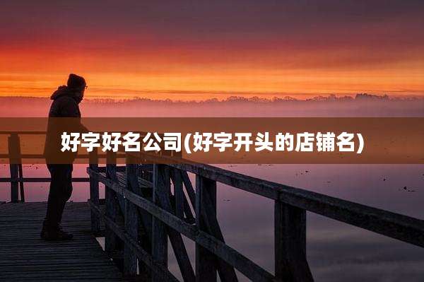 好字好名公司(好字开头的店铺名)