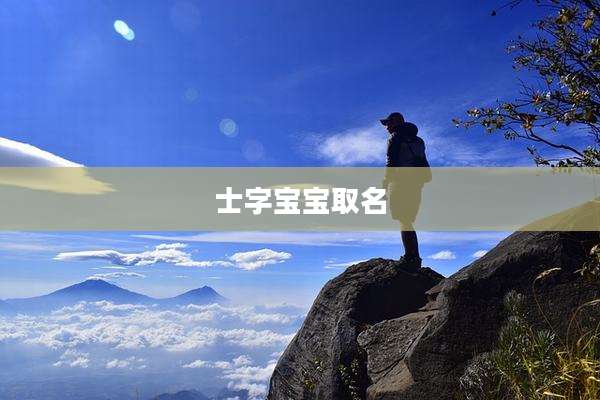 士字宝宝取名