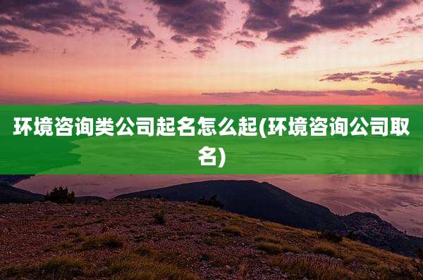 环境咨询类公司起名怎么起(环境咨询公司取名)