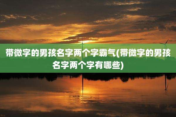带微字的男孩名字两个字霸气(带微字的男孩名字两个字有哪些)