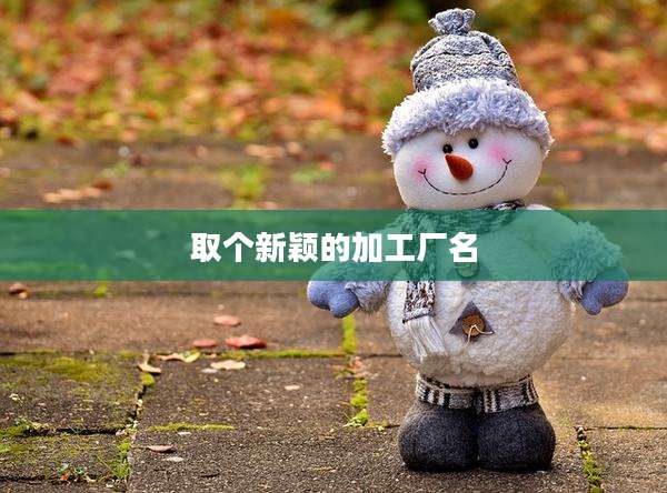 取个新颖的加工厂名