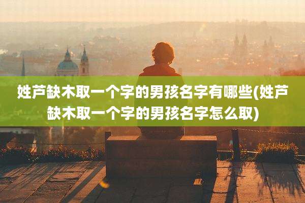 姓芦缺木取一个字的男孩名字有哪些(姓芦缺木取一个字的男孩名字怎么取)