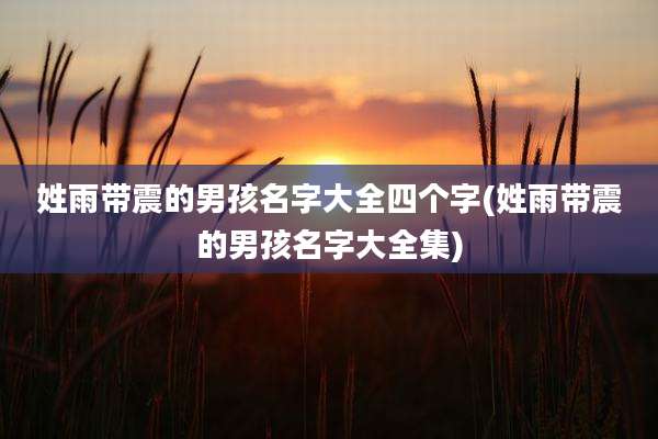 姓雨带震的男孩名字大全四个字(姓雨带震的男孩名字大全集)
