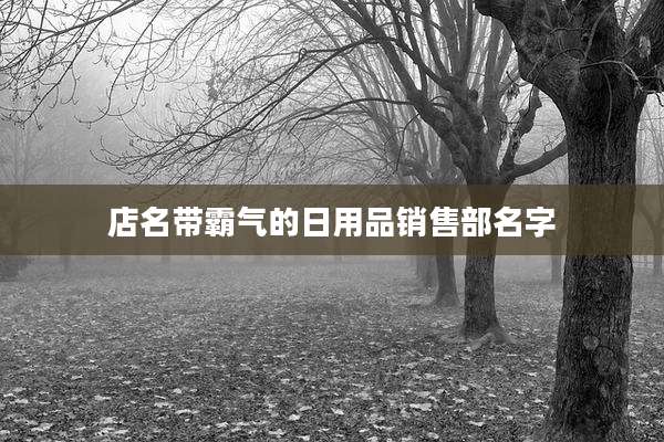 店名带霸气的日用品销售部名字
