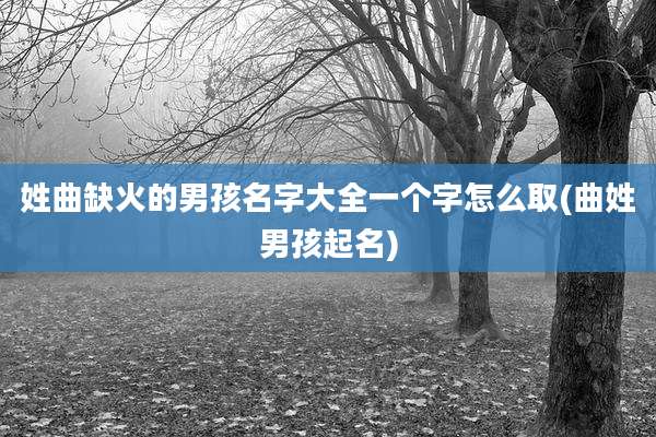 姓曲缺火的男孩名字大全一个字怎么取(曲姓男孩起名)