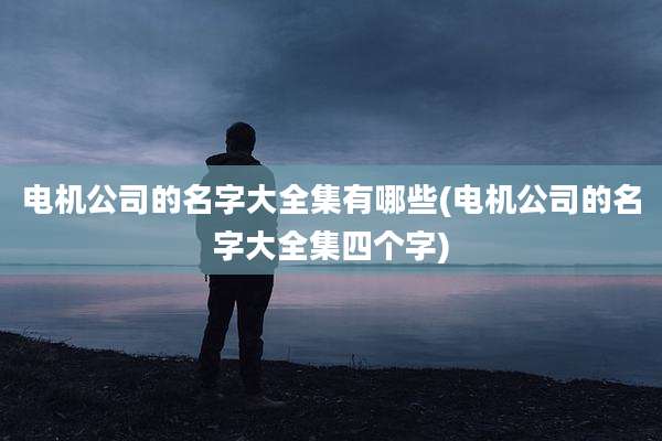 电机公司的名字大全集有哪些(电机公司的名字大全集四个字)
