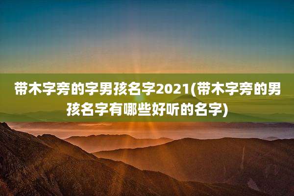带木字旁的字男孩名字2021(带木字旁的男孩名字有哪些好听的名字)