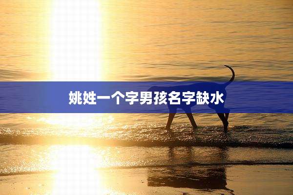姚姓一个字男孩名字缺水