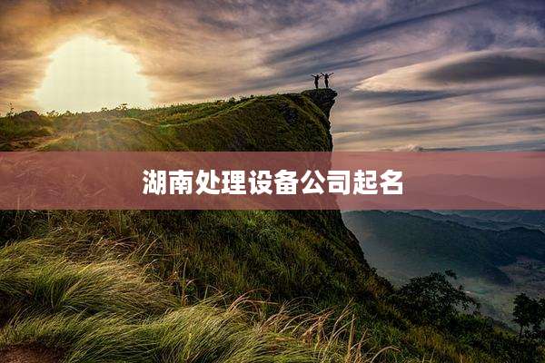 湖南处理设备公司起名