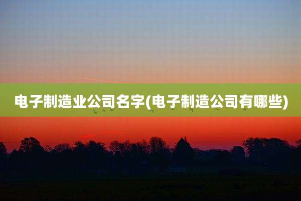 电子制造业公司名字(电子制造公司有哪些)
