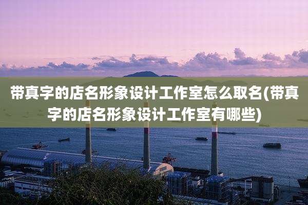 带真字的店名形象设计工作室怎么取名(带真字的店名形象设计工作室有哪些)