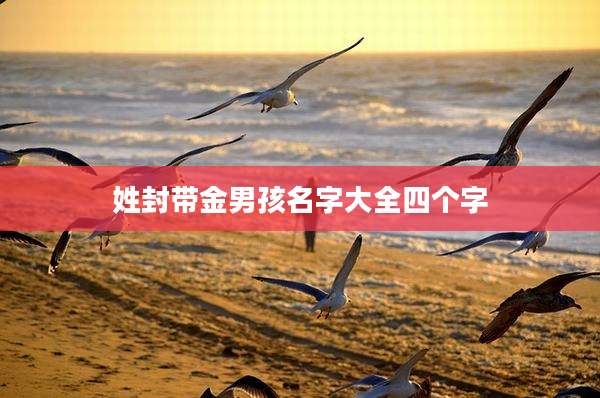 姓封带金男孩名字大全四个字