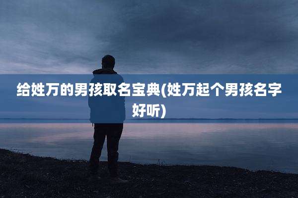 给姓万的男孩取名宝典(姓万起个男孩名字好听)
