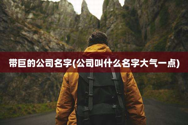 带巨的公司名字(公司叫什么名字大气一点)