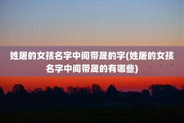 姓屠的女孩名字中间带晟的字(姓屠的女孩名字中间带晟的有哪些)
