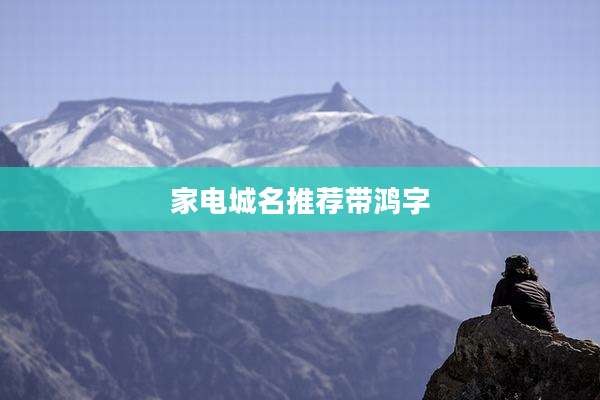 家电城名推荐带鸿字