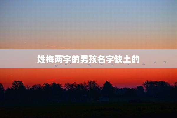 姓梅两字的男孩名字缺土的