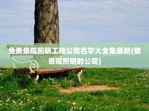 免费景观照明工程公司名字大全集最新(做景观照明的公司)