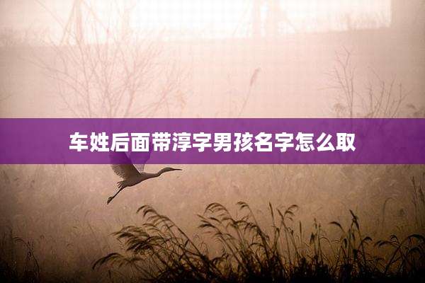 车姓后面带淳字男孩名字怎么取