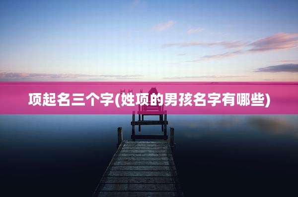 项起名三个字(姓项的男孩名字有哪些)